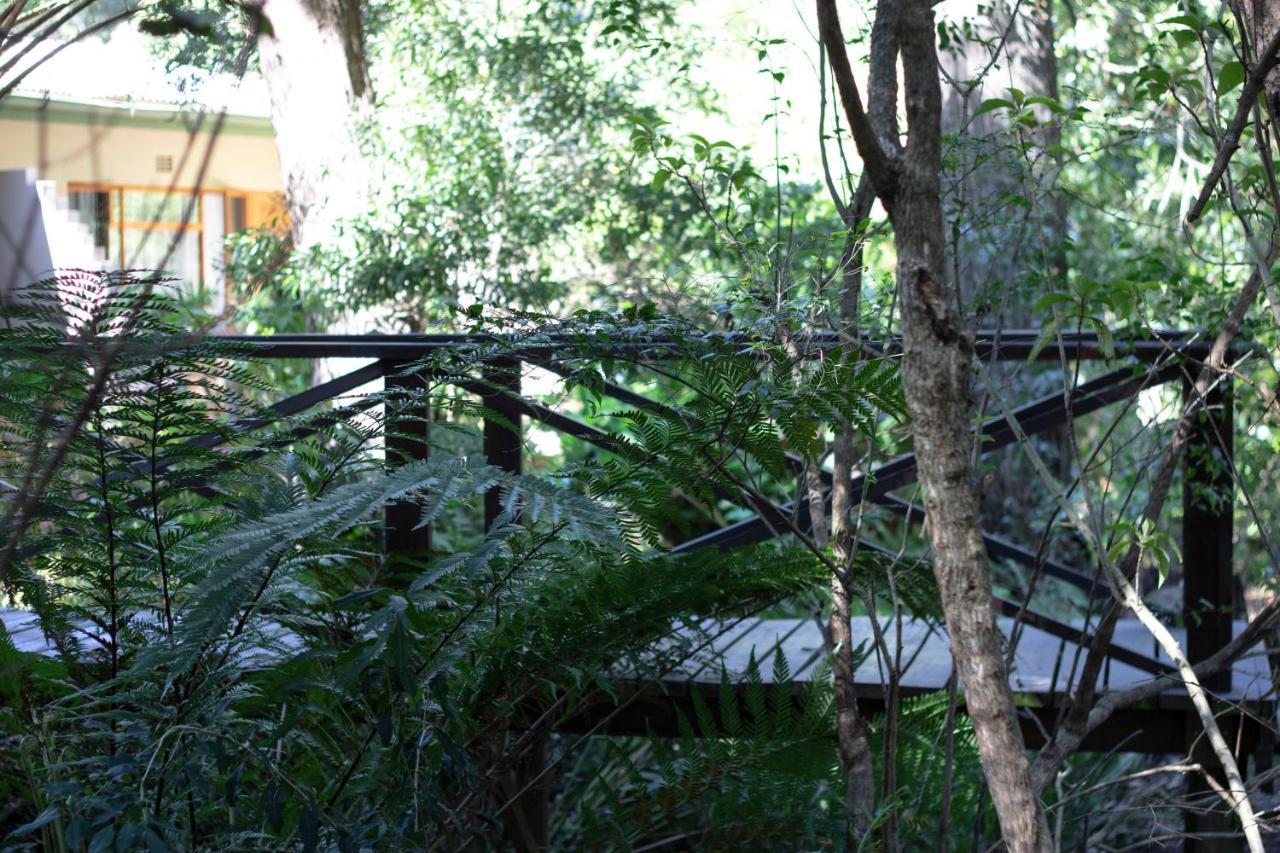 Andelomi Forest Lodge Стормсривиер Екстериор снимка