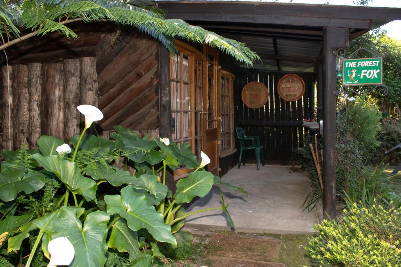 Andelomi Forest Lodge Стормсривиер Екстериор снимка