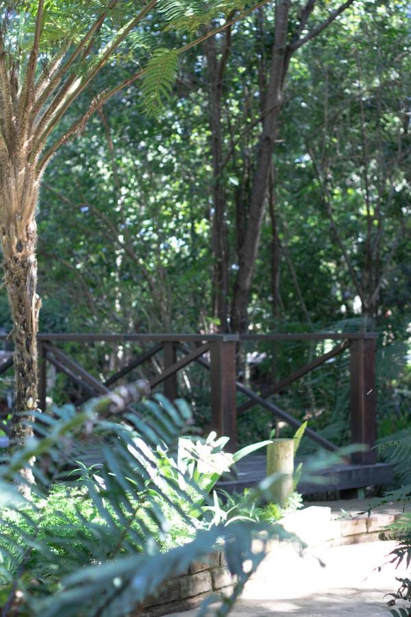Andelomi Forest Lodge Стормсривиер Екстериор снимка