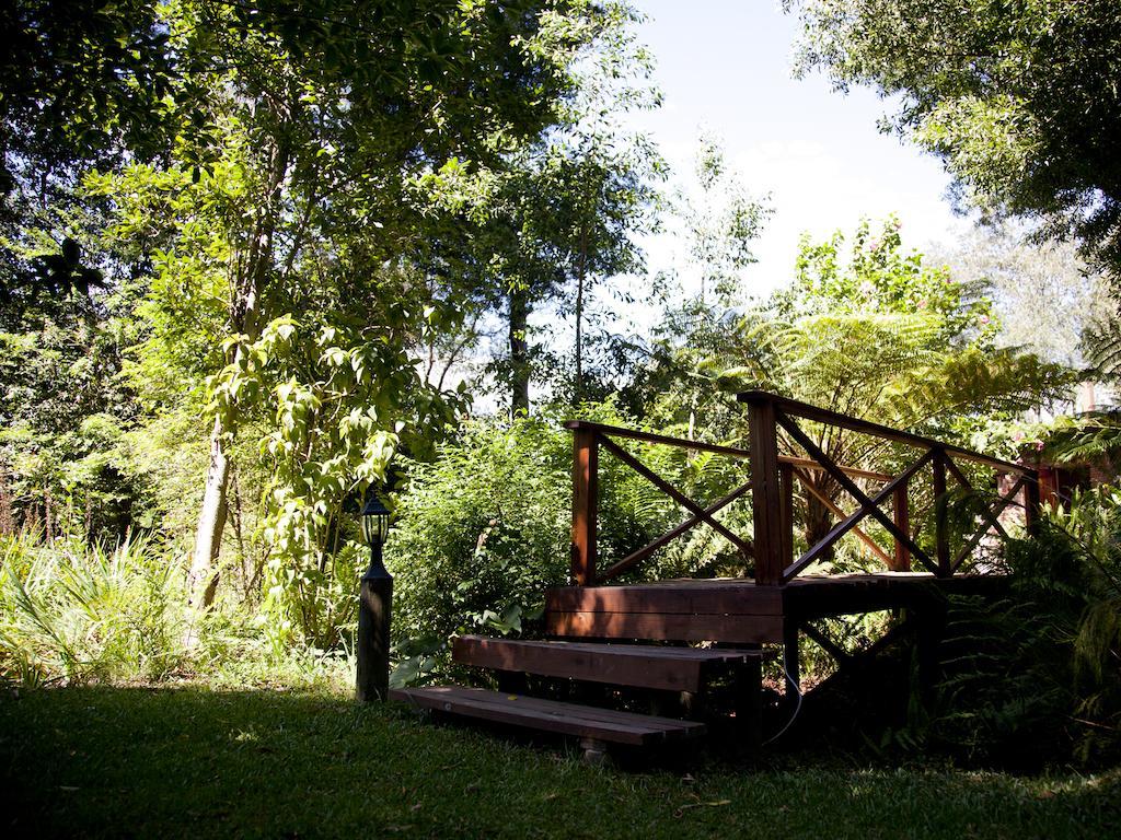 Andelomi Forest Lodge Стормсривиер Екстериор снимка