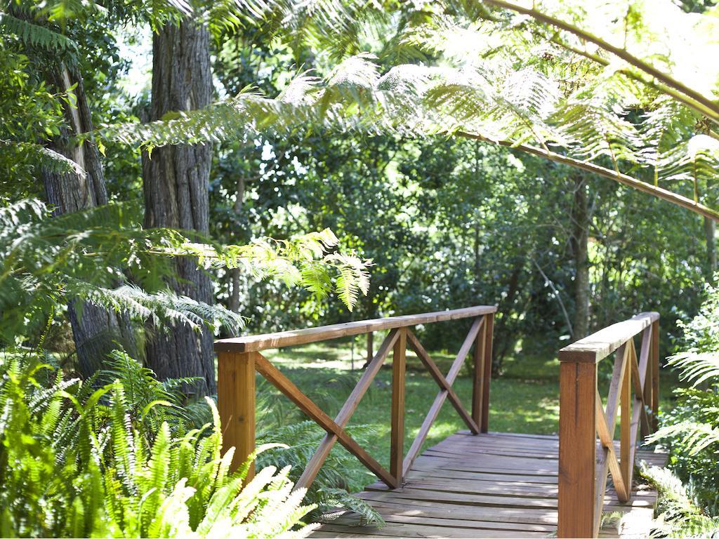 Andelomi Forest Lodge Стормсривиер Екстериор снимка